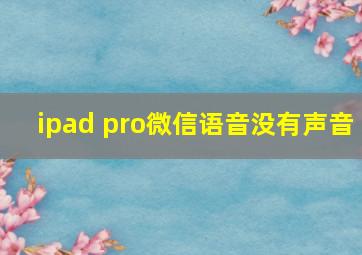 ipad pro微信语音没有声音